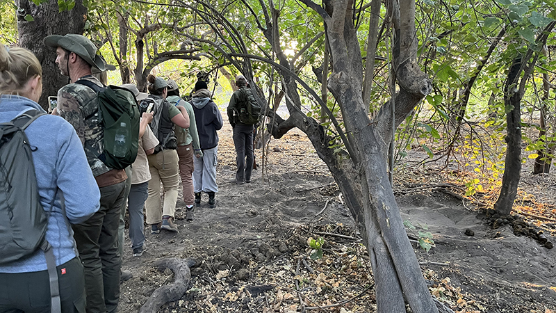 Group Hike