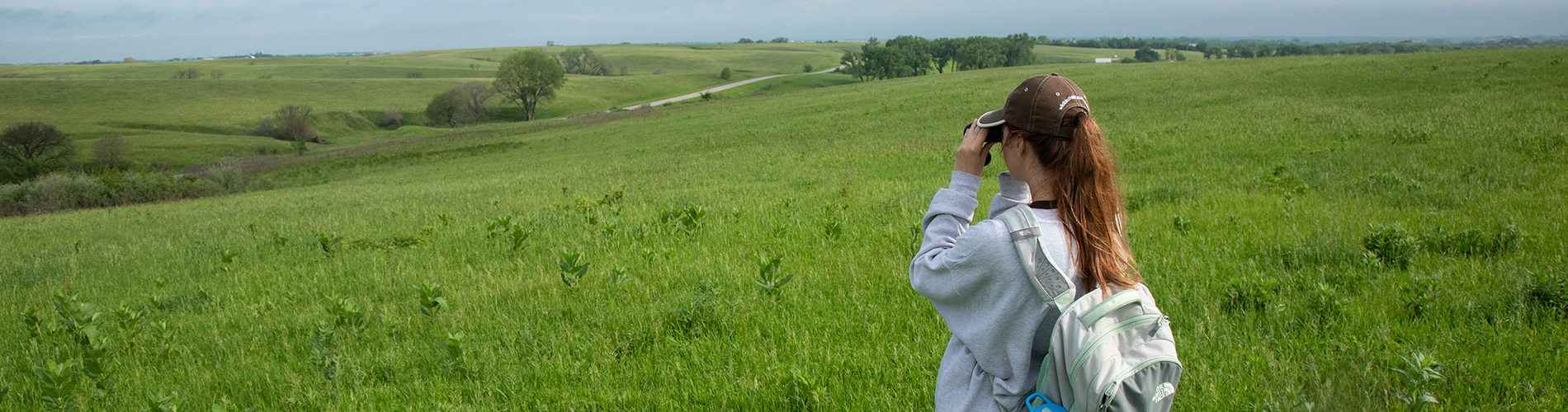 Viewing Prairie Corridor