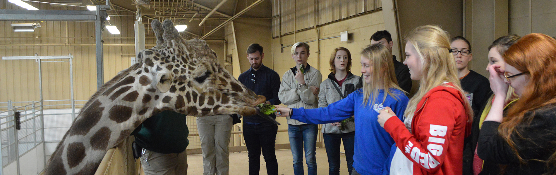 Feeding giraffe at Henry Doorly Zoo
