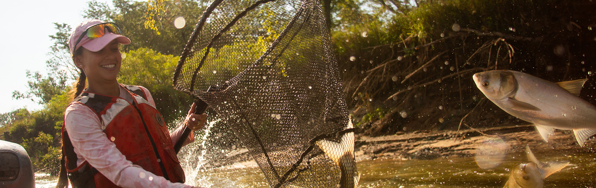 Catching fish flying through air