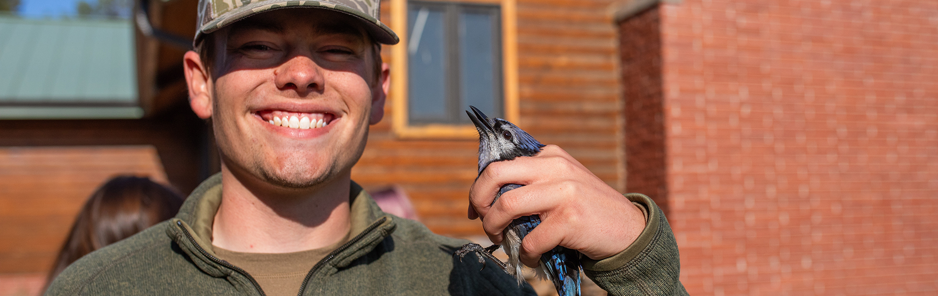 Showing off blue bird