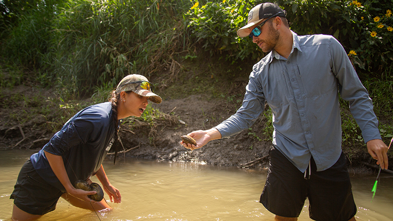 Collecting freshwater mussels