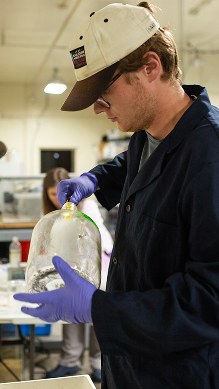 Student preparing measurement in ABC Lab