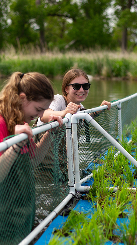 Preparing floating wetland