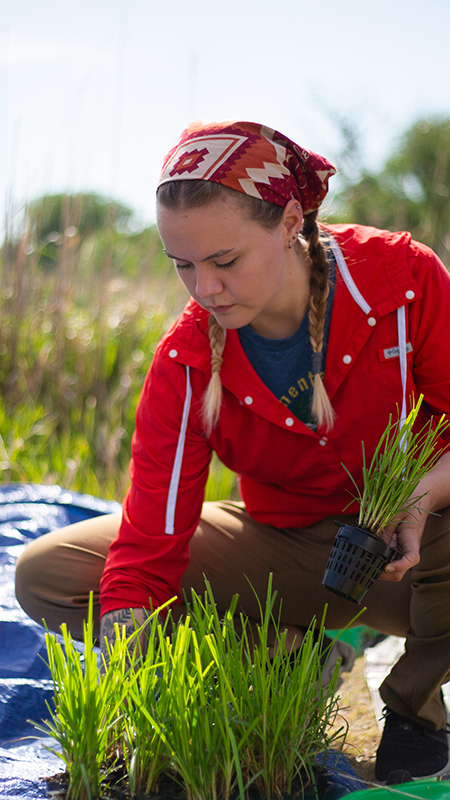 Preparing a section of the floating wetland