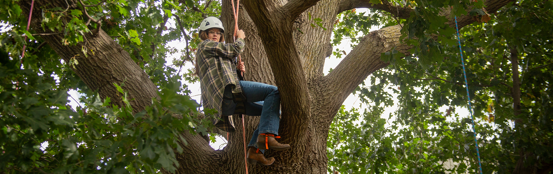 Six students preparing for Tree Climbing