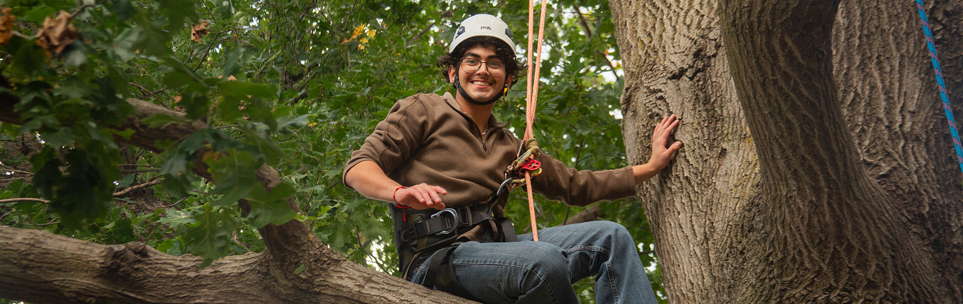 Six students preparing for Tree Climbing