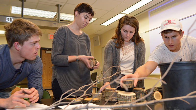 Tree Discussion in Lab
