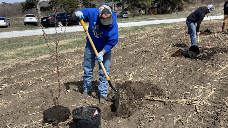 Tree Planting