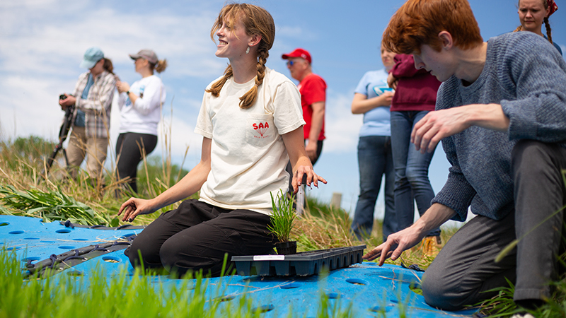 Students building wetland