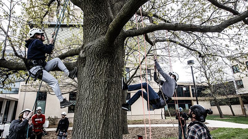 Tree climbing